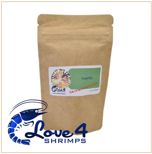 Love 4 Shrimps