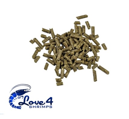 Love 4 Shrimps