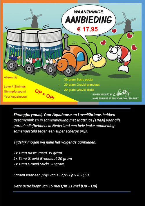 Love 4 Shrimps