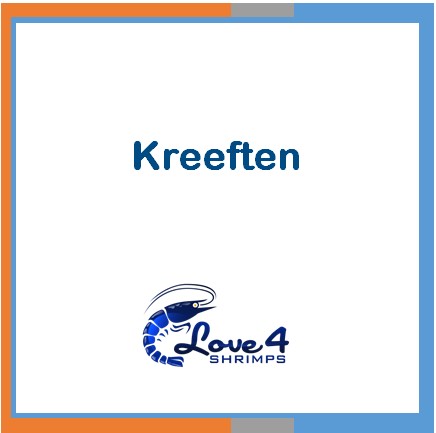 Love 4 Shrimps