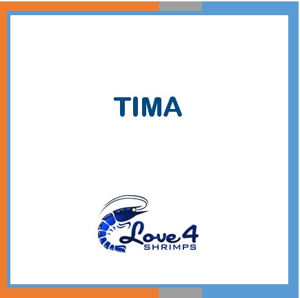 Love 4 Shrimps