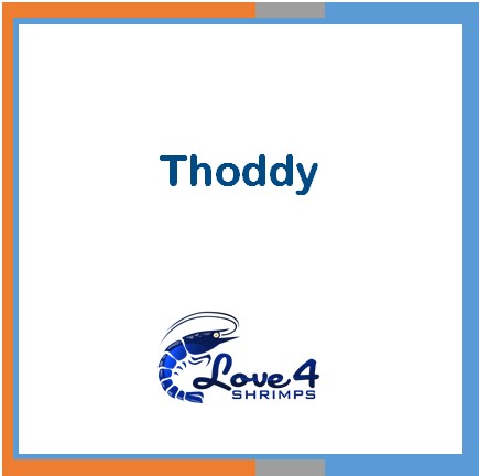 Love 4 Shrimps