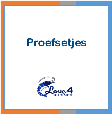 Love 4 Shrimps