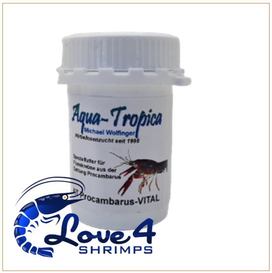 Love 4 Shrimps