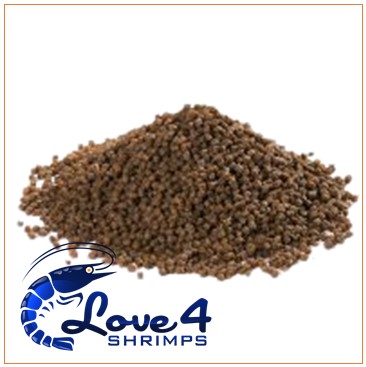 Love 4 Shrimps