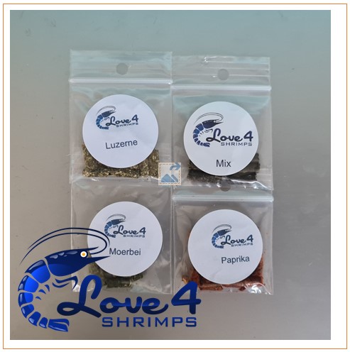 Love 4 Shrimps