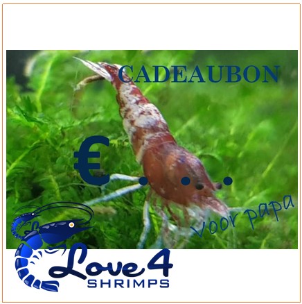 Love 4 Shrimps