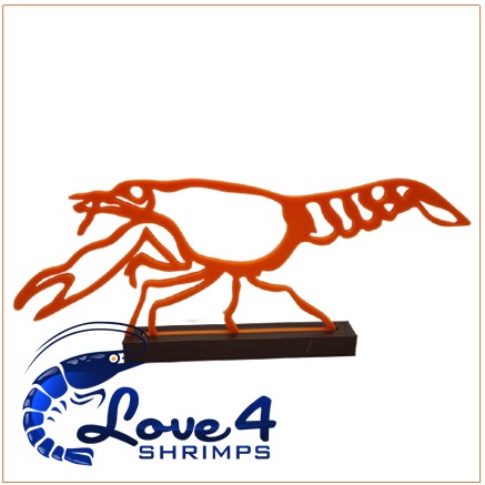 Love 4 Shrimps