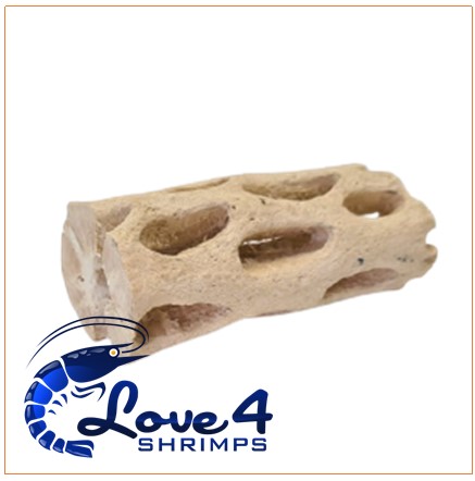 Love 4 Shrimps