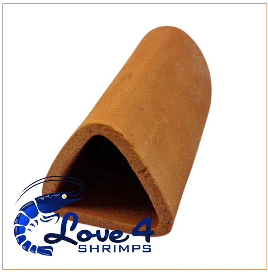 Love 4 Shrimps