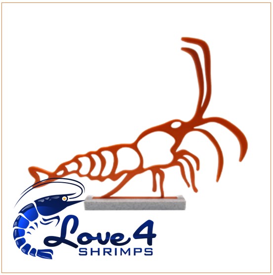 Love 4 Shrimps