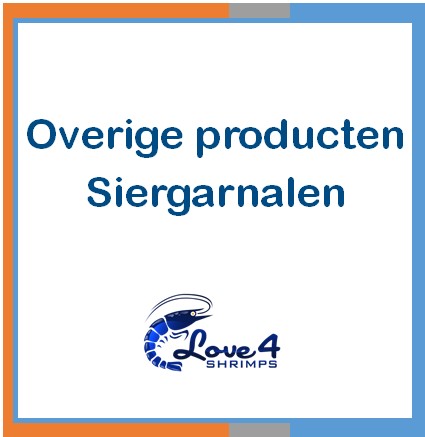 Love 4 Shrimps