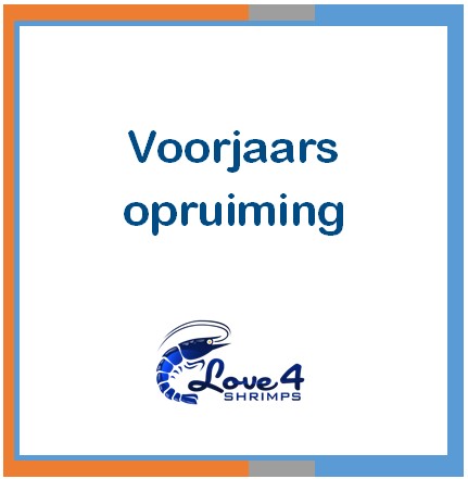 Love 4 Shrimps