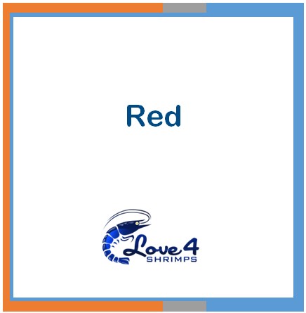 Love 4 Shrimps
