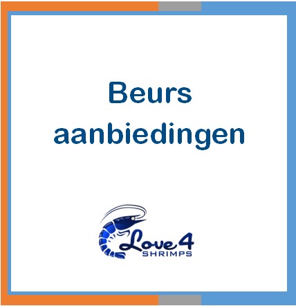 Love 4 Shrimps