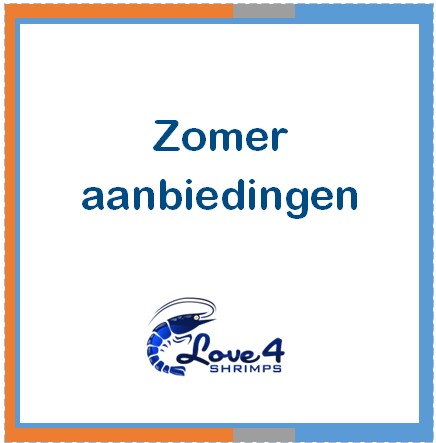 Love 4 Shrimps