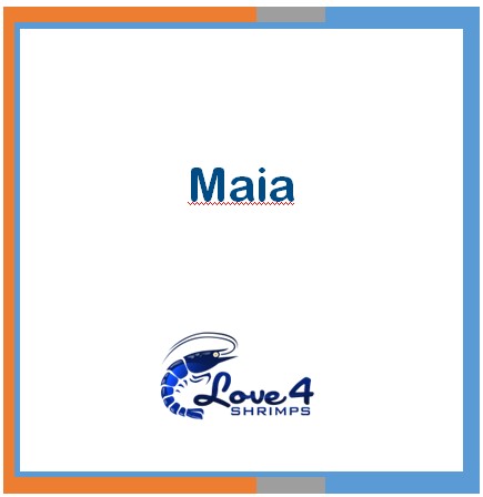 Love 4 Shrimps