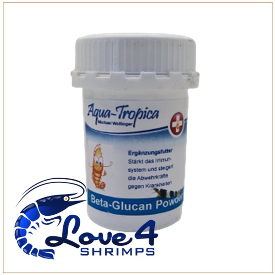 Love 4 Shrimps