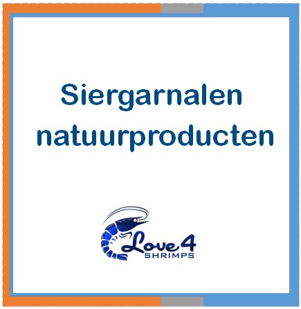 Love 4 Shrimps