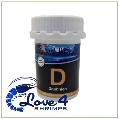 Love 4 Shrimps