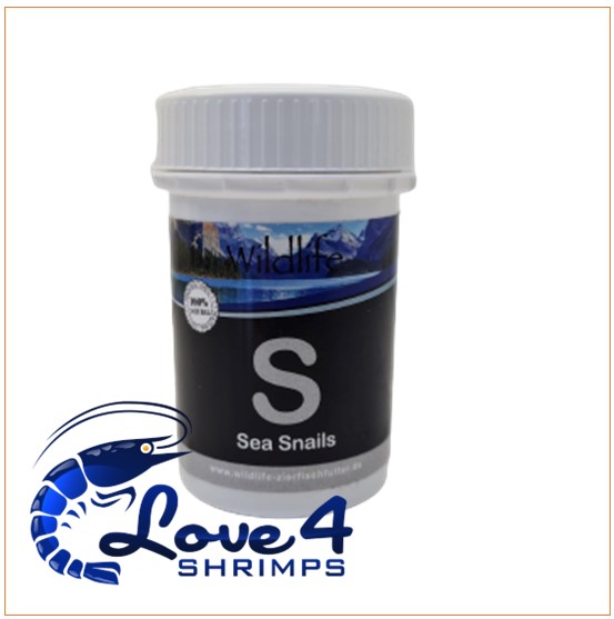 Love 4 Shrimps