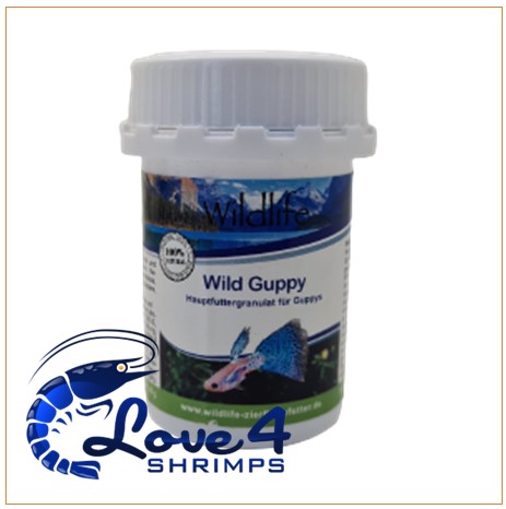 Love 4 Shrimps