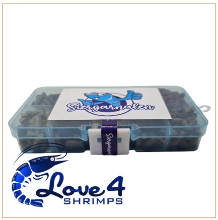 Love 4 Shrimps