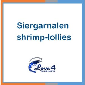 Siergarnalen shrimp-lollies