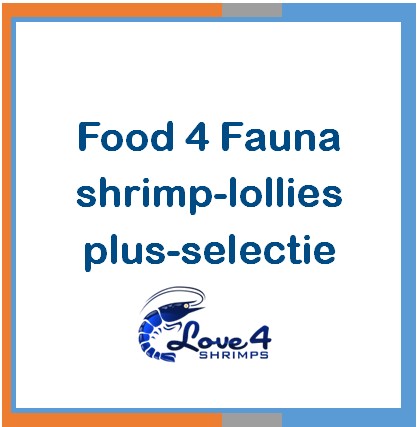 Love 4 Shrimps