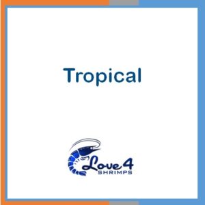 Tropical