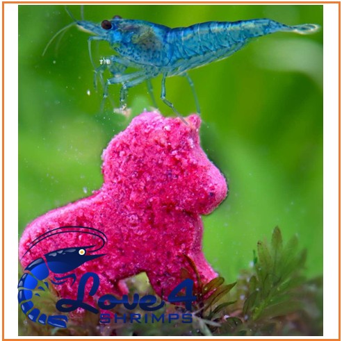 Chris & Oli's Shrimp Mix - Afbeelding 3