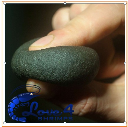 NatureHolic Snail Feed Pudding - Afbeelding 2