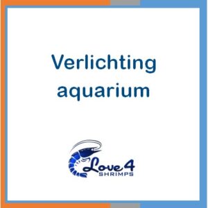 Verlichting aquarium