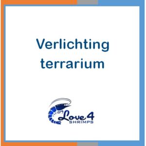 Verlichting terrarium
