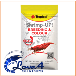 Alternative view of Tropical Shrimp-UP! - Breeding & Colour