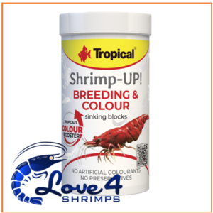 Tropical Shrimp-UP! - Breeding & Colour